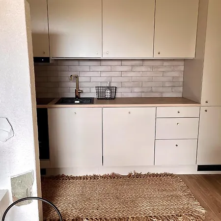 Rinnekoengaes - Ruka-pyhae 2x Skipass Included - Free Skibuss Doorstep - Renovated Διαμέρισμα *