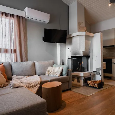 Rinnekoengaes - Ruka-pyhae 2x Skipass Included - Free Skibuss Doorstep - Renovated * Ruka